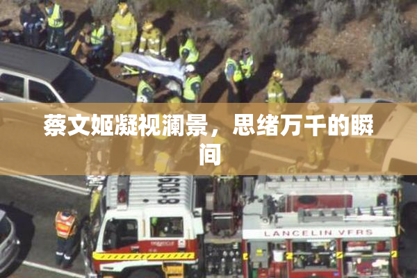 蔡文姬凝视澜景，思绪万千的瞬间