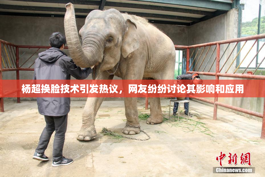 杨超换脸技术引发热议，网友纷纷讨论其影响和应用