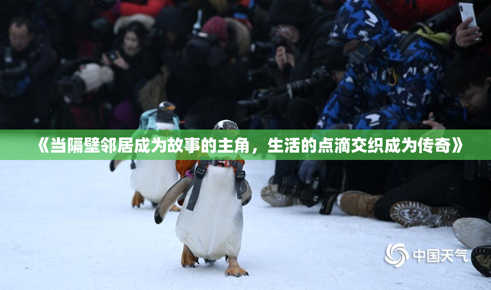 《当隔壁邻居成为故事的主角，生活的点滴交织成为传奇》
