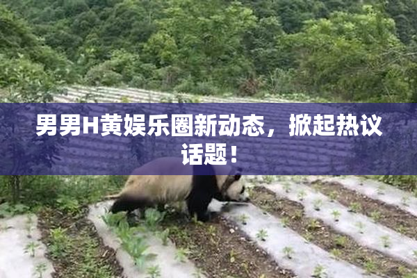 男男H黄娱乐圈新动态，掀起热议话题！