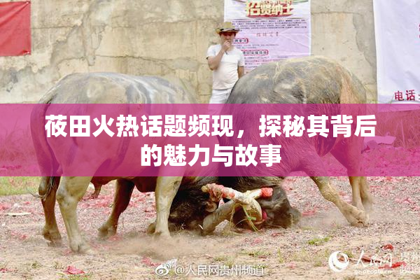 莜田火热话题频现，探秘其背后的魅力与故事