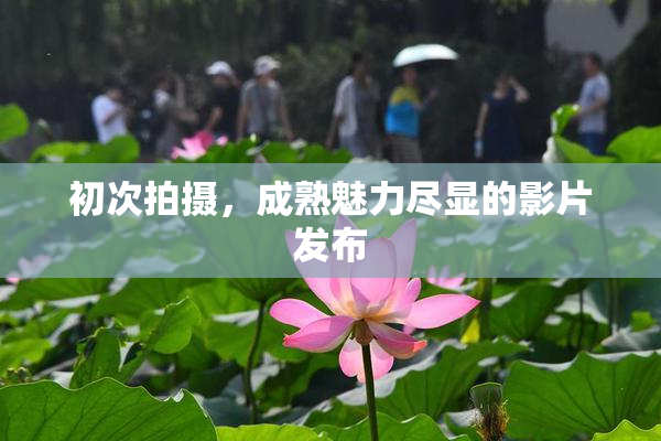初次拍摄，成熟魅力尽显的影片发布