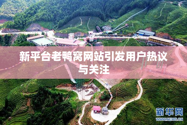 新平台老鸭窝网站引发用户热议与关注