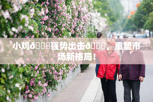 小鸡🐔强势出击🍑，重塑市场新格局！