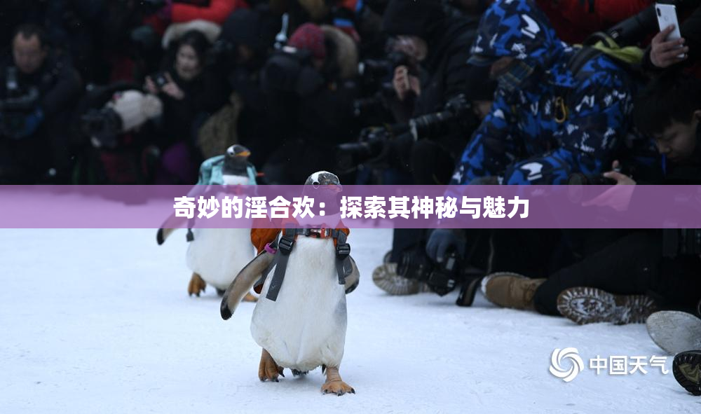 奇妙的淫合欢：探索其神秘与魅力