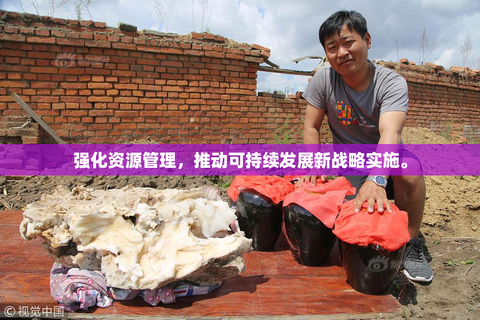 强化资源管理，推动可持续发展新战略实施。