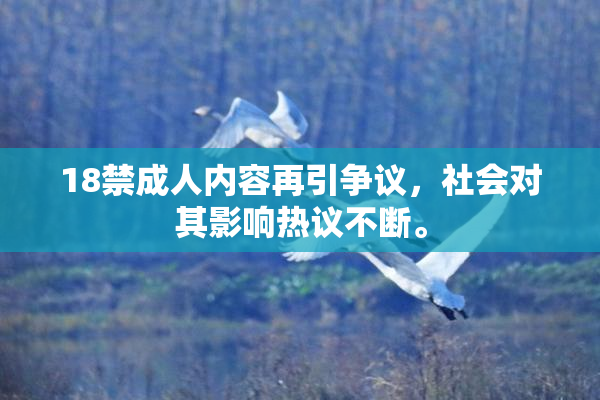 18禁成人内容再引争议，社会对其影响热议不断。