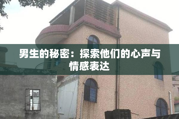 男生的秘密：探索他们的心声与情感表达