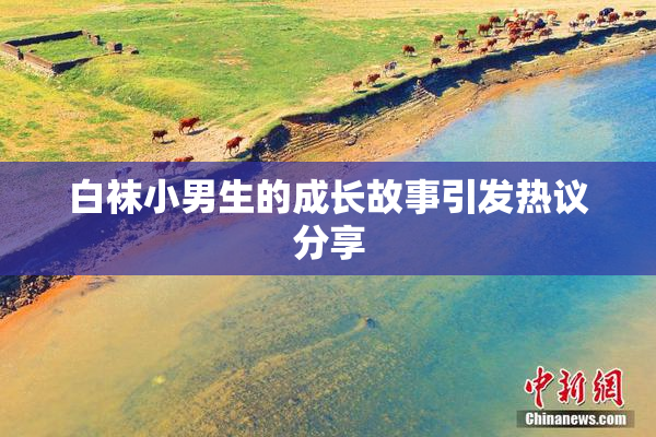 白袜小男生的成长故事引发热议分享
