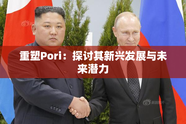 重塑Pori：探讨其新兴发展与未来潜力