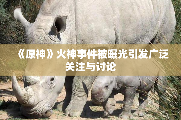 《原神》火神事件被曝光引发广泛关注与讨论