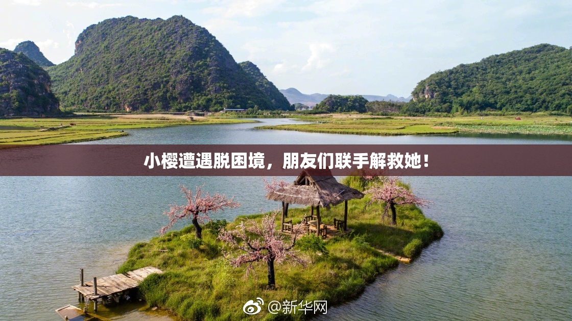 小樱遭遇脱困境，朋友们联手解救她！