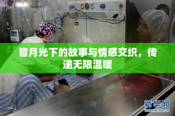 皆月光下的故事与情感交织，传递无限温暖