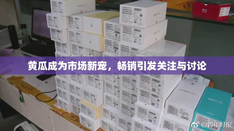 黄瓜成为市场新宠，畅销引发关注与讨论