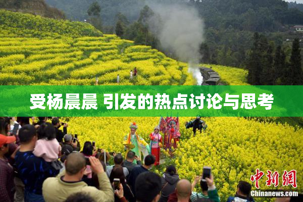 受杨晨晨 引发的热点讨论与思考