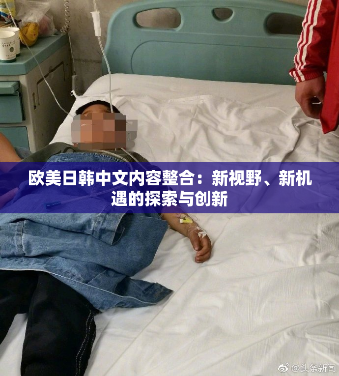 欧美日韩中文内容整合：新视野、新机遇的探索与创新