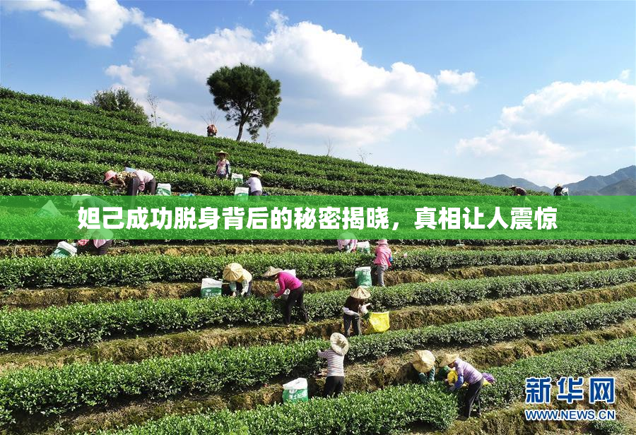 妲己成功脱身背后的秘密揭晓，真相让人震惊