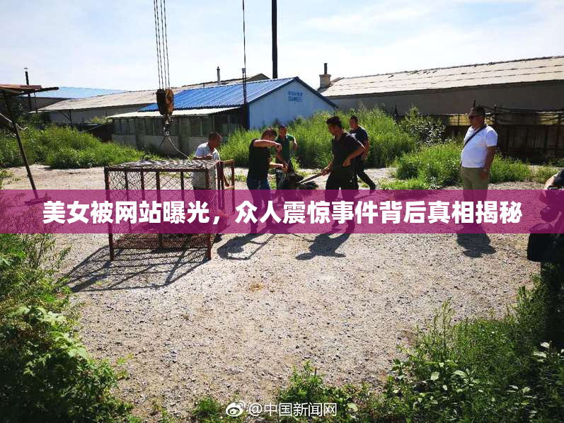 美女被网站曝光，众人震惊事件背后真相揭秘