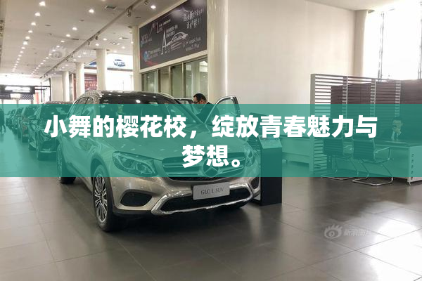 小舞的樱花校，绽放青春魅力与梦想。