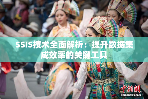 SSIS技术全面解析：提升数据集成效率的关键工具