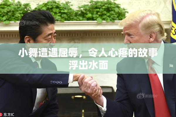小舞遭遇屈辱，令人心疼的故事浮出水面