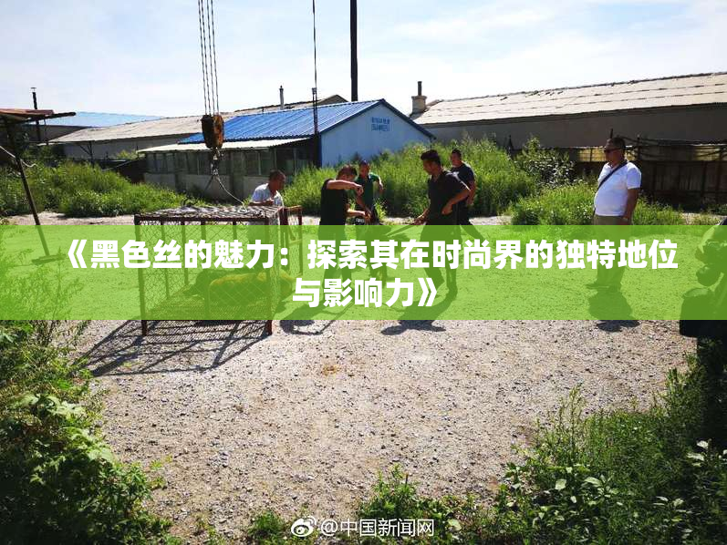 《黑色丝的魅力：探索其在时尚界的独特地位与影响力》