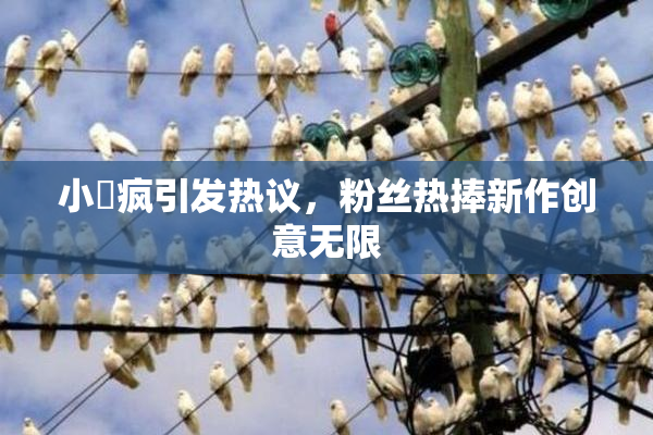 小泬疯引发热议，粉丝热捧新作创意无限