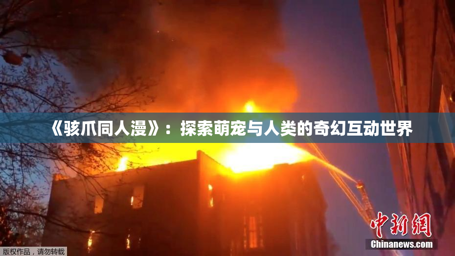 《骇爪同人漫》：探索萌宠与人类的奇幻互动世界