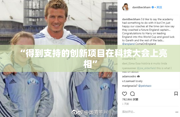 “得到支持的创新项目在科技大会上亮相”