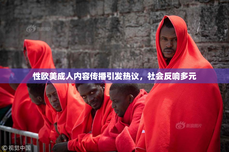 性欧美成人内容传播引发热议，社会反响多元