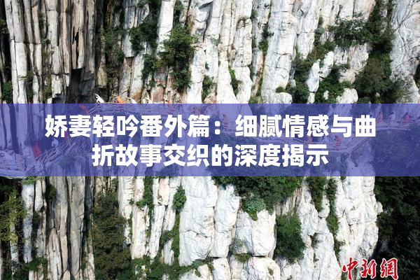 娇妻轻吟番外篇：细腻情感与曲折故事交织的深度揭示