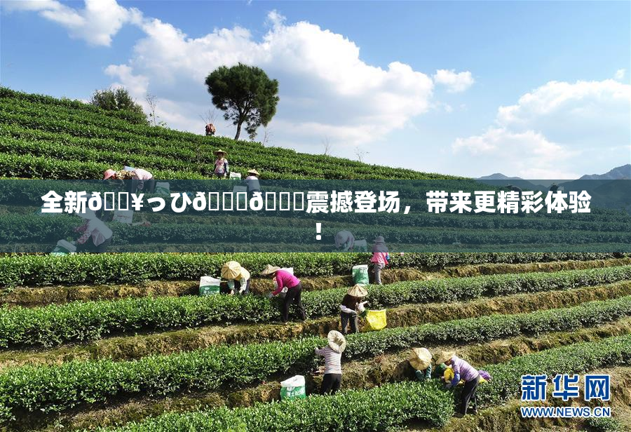 全新🔥っひ🍑🍑震撼登场，带来更精彩体验！
