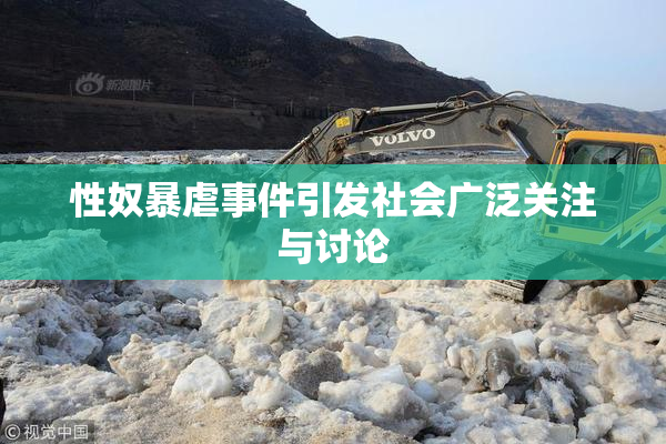 性奴暴虐事件引发社会广泛关注与讨论