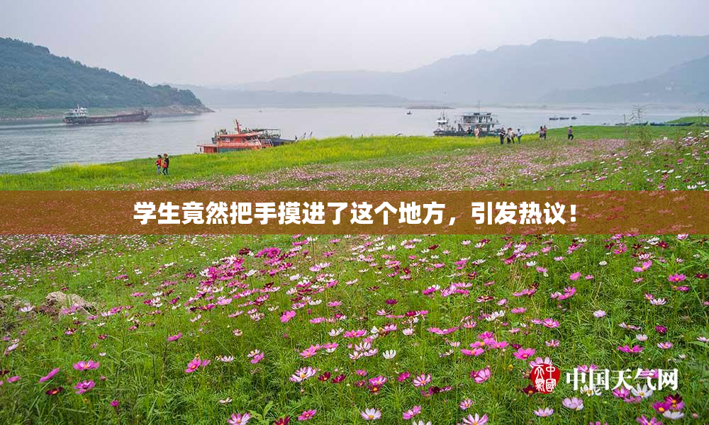 学生竟然把手摸进了这个地方，引发热议！