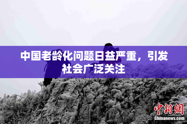 中国老龄化问题日益严重，引发社会广泛关注