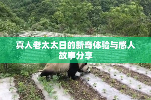 真人老太太日的新奇体验与感人故事分享