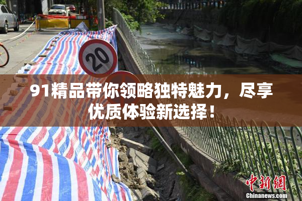 91精品带你领略独特魅力，尽享优质体验新选择！