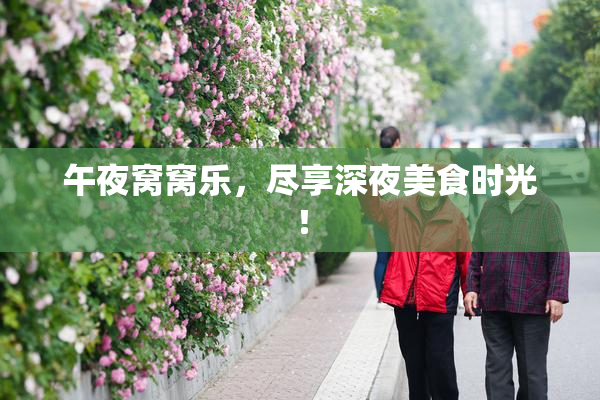 午夜窝窝乐，尽享深夜美食时光！