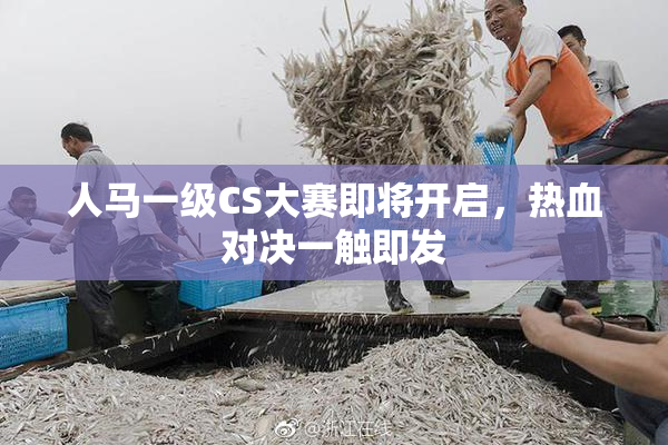 人马一级CS大赛即将开启，热血对决一触即发