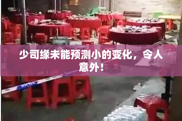 少司缘未能预测小的变化，令人意外！