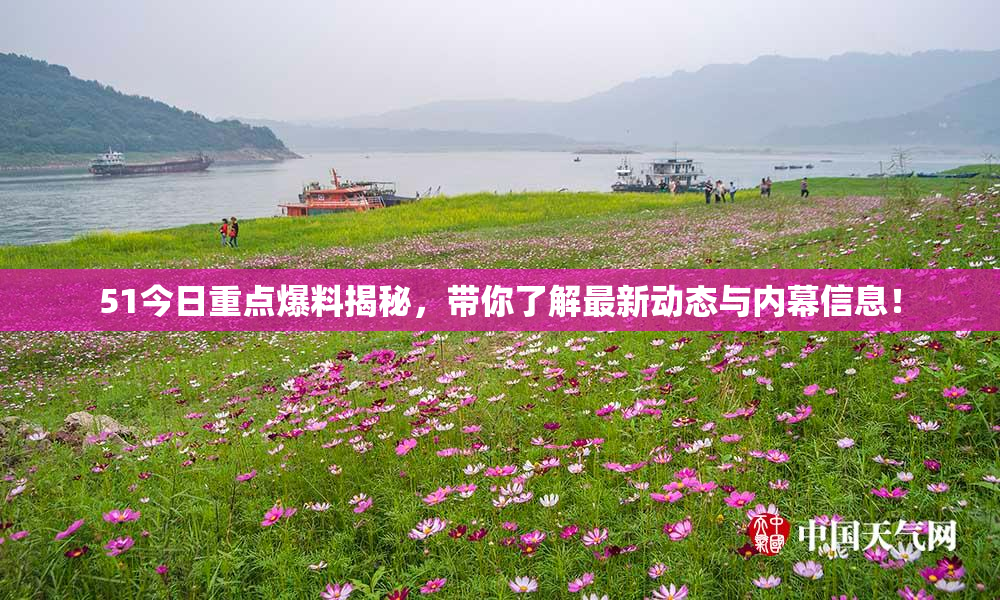 51今日重点爆料揭秘，带你了解最新动态与内幕信息！