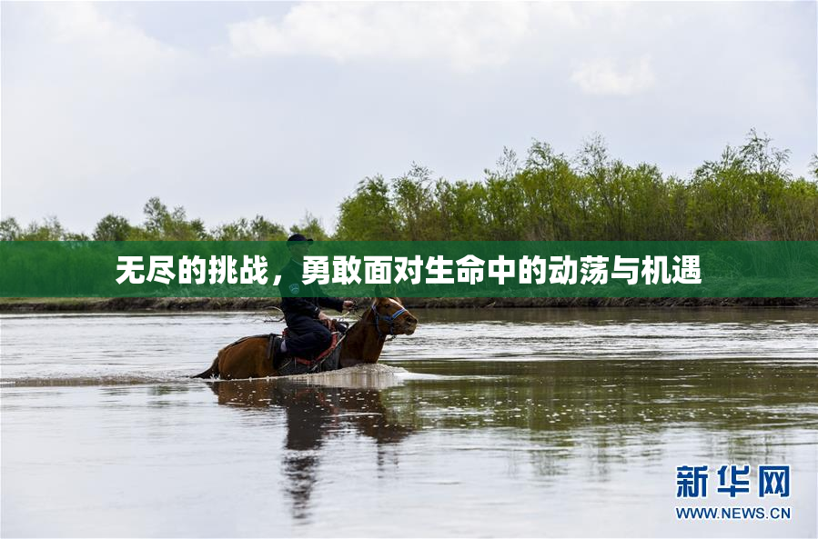 无尽的挑战，勇敢面对生命中的动荡与机遇