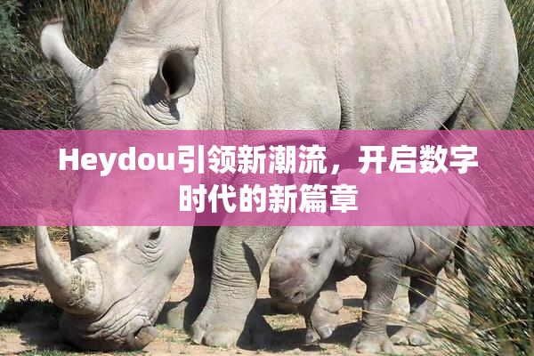 Heydou引领新潮流，开启数字时代的新篇章