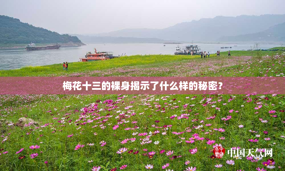 梅花十三的裸身揭示了什么样的秘密？