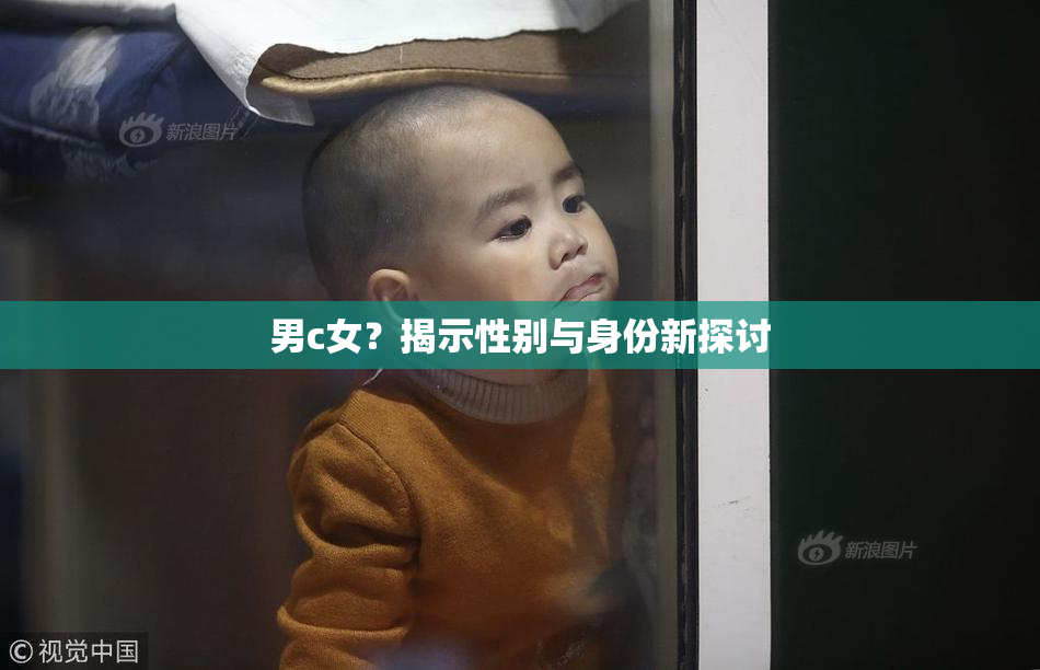 男c女？揭示性别与身份新探讨