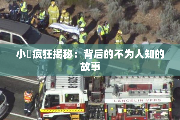 小泬疯狂揭秘：背后的不为人知的故事