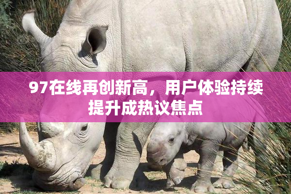 97在线再创新高，用户体验持续提升成热议焦点