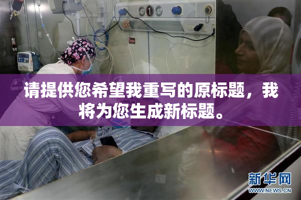 请提供您希望我重写的原标题，我将为您生成新标题。