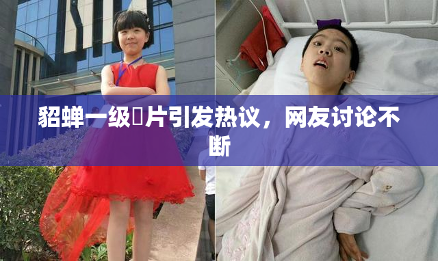 貂蝉一级婬片引发热议，网友讨论不断