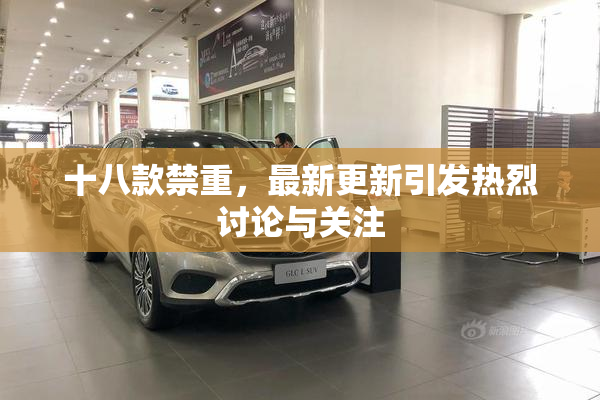 十八款禁重，最新更新引发热烈讨论与关注